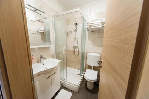 a bathroom with a toilet and a shower and a sink at Guesthouse Haler in Podčetrtek