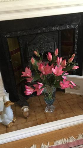 Φωτογραφία από το άλμπουμ του Cheriton Guesthouse σε Sidmouth