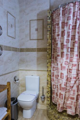 a bathroom with a toilet and a shower curtain at Pidkova in Rivne