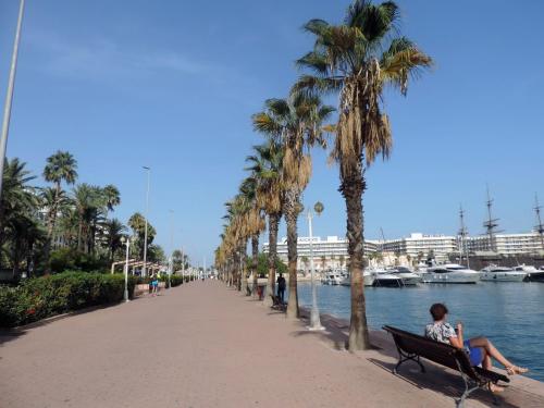 a person sitting on a bench next to the water with palm trees at Hotel Marítimo Urban in Alicante