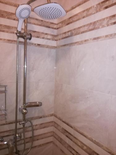a shower with a shower head in a bathroom at Apartment Sea Space 3 in Dobra Voda
