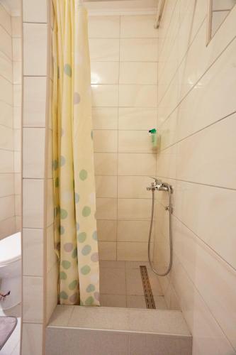 a bathroom with a shower with a shower curtain at Central Tuzla apt - free parking in Tuzla