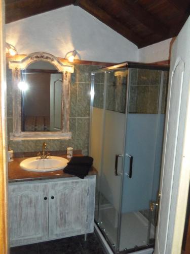 a bathroom with a shower and a sink at Finca Wawa Tenerife in Guía de Isora