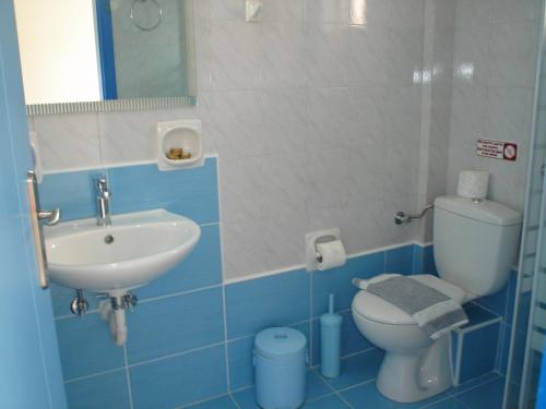 a small bathroom with a toilet and a sink at Ikonomakis Apartments in Balíon