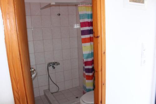 a bathroom with a shower and a toilet at Aaron Studios Apartments in Agia Fotia
