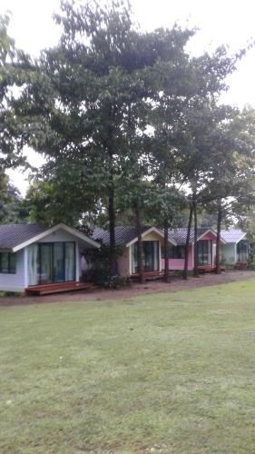 a group of houses with trees in a field at Baanrai Saiyoknoi Resort in Sai Yok