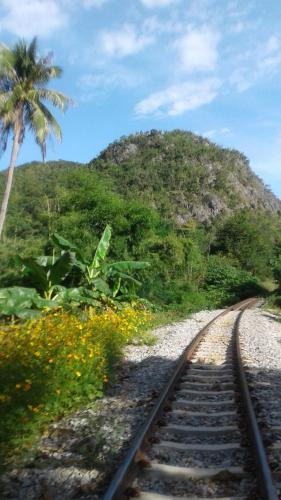 a train track with a palm tree and a mountain at Baanrai Saiyoknoi Resort in Sai Yok