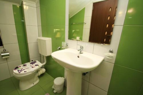 a green and white bathroom with a sink and a toilet at Pensiunea Ciobanelu in Malaia