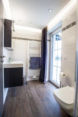 a bathroom with a sink and a toilet and a window at Weinberghaus Prossen in Bad Schandau
