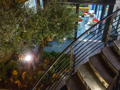 an overhead view of a tree and stairs in a mall at Tra Le Braccia di Morfeo in Terrasini