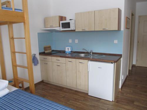 a small kitchen with a sink and a microwave at Berger Pec Privat in Pec pod Sněžkou