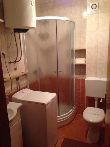 a bathroom with a shower and a toilet and a sink at Novalja Zrce Apartment in Novalja