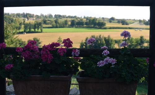two pots of flowers on a window with a view of a field at La Piana in Monzambano