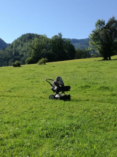a small motorcycle sitting in a field of grass at Ferienhof Kreilgut in Rossleithen