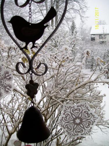 a bird on a bell in a snow covered tree at Maier Pension in Bayerisch Eisenstein