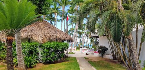 a resort with palm trees and a thatch hut at Hotel Atlantis in Las Terrenas