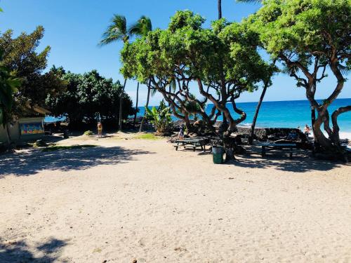 a beach with trees and benches and the ocean at Kona Magic Honu Room in Kailua-Kona