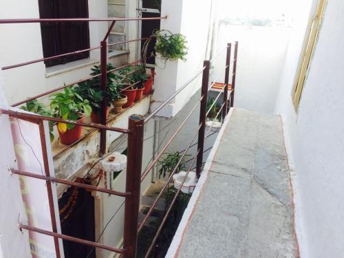 a staircase with potted plants on the side of a building at Peacock Guest House - Lake View Hotel In Udaipur in Udaipur