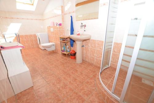ベヒニェにあるApartma Štastnýのバスルーム(シャワー、洗面台、トイレ付)