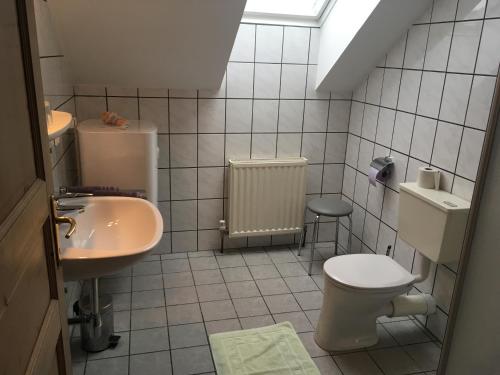 een kleine badkamer met een toilet en een wastafel bij Reiterhof Rössler in Poppendorf im Burgenland