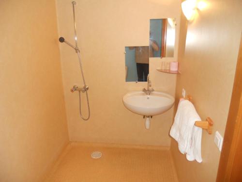 a bathroom with a sink and a shower at Auberge du Saut des Cuves in Xonrupt-Longemer