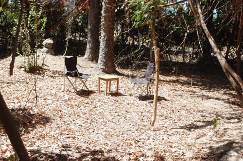 Jardín al aire libre en Bendula