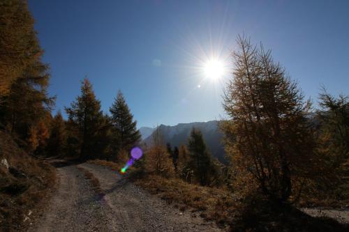 a dirt road with the sun in the sky at Ferienwohnung Plattner in Schmirn