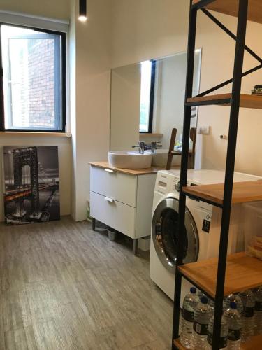 埔里にあるHere Hostel Puliのランドリールーム(シンク、洗濯機付)