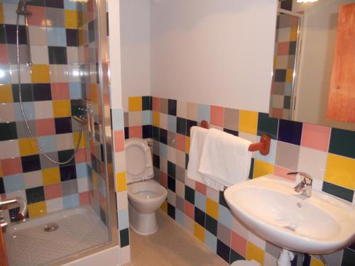 a bathroom with a sink and a toilet and a shower at Auberge du Saut des Cuves in Xonrupt-Longemer