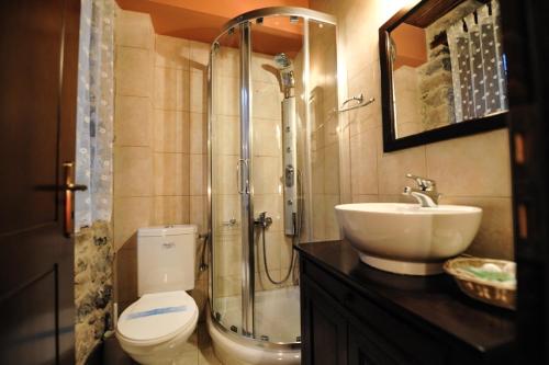 a bathroom with a shower and a toilet and a sink at Arhontiko Kefalari in Kefalari