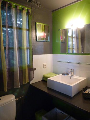 a bathroom with a sink and a green wall at La Longère du Parc in Noyers-sur-Cher