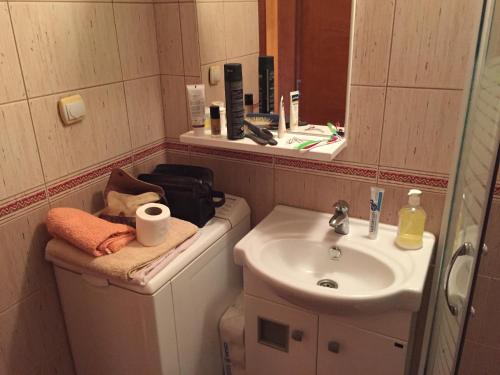 a bathroom with a sink and a toilet and a mirror at Apartment Linda in Zlatibor