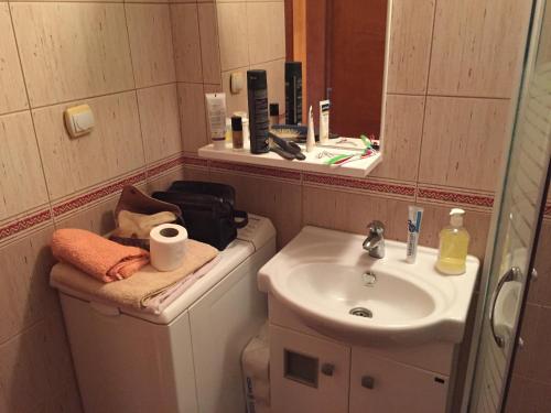 Kylpyhuone majoituspaikassa Apartment Linda