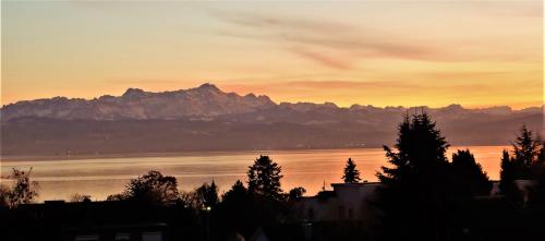 BodenSEE Apartment Friedrichshafen "DACHTERRASSE"