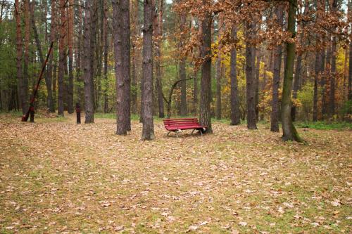 a red park bench sitting in the middle of a forest at Domik v lesy in Lyutezh