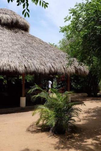 Gambar di galeri bagi Mondala Hostal Carrizalillo di Puerto Escondido