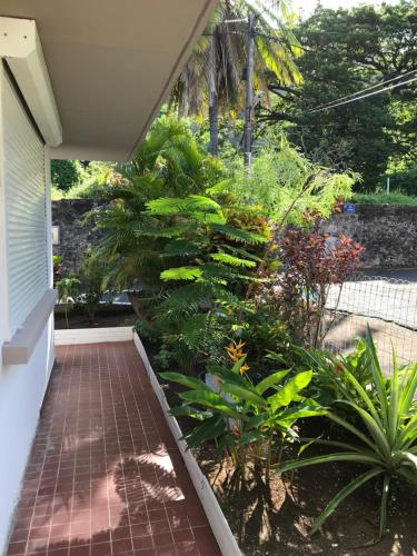a garden with plants and a brick walkway at L'Escale du Mouillage in Saint-Pierre