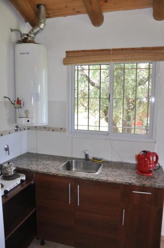 a kitchen with a sink and a counter top at Cabañas Los Viñedos in San Rafael
