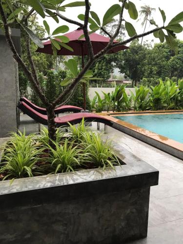 a bench next to a swimming pool with a tree at Amarina Green in Lamai