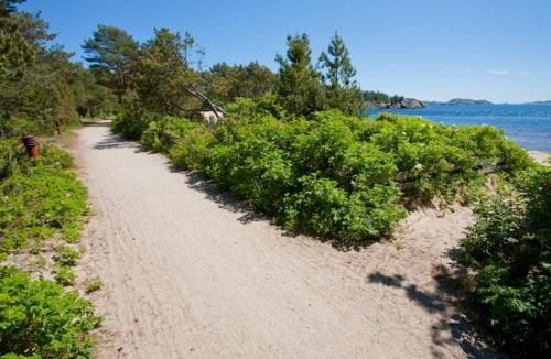 a dirt road next to a beach with bushes at Sjøsanden Ferietun in Mandal