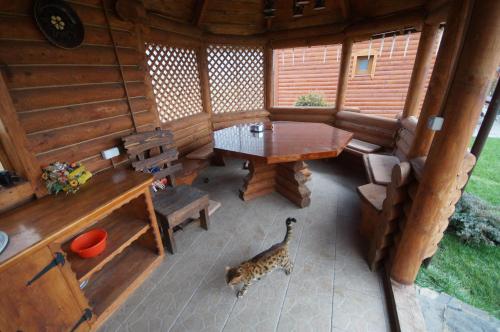 Φωτογραφία από το άλμπουμ του Dacha σε Yasinya