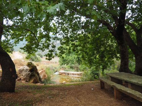 a park bench sitting under a tree next to a river at Arhontiko Kefalari in Kefalari