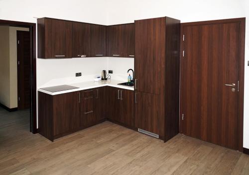 an empty kitchen with wooden cabinets and a sink at Aparthotel Łódź 55 Piotrkowska in Łódź