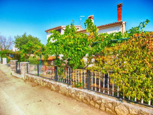 Apartments Bruno 157