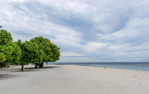 a beach with trees and the ocean on a cloudy day at Nemo Inn in Omadhoo