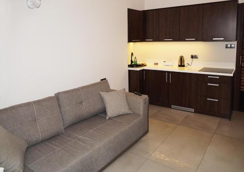 a living room with a couch and a kitchen at Aparthotel Łódź 55 Piotrkowska in Łódź