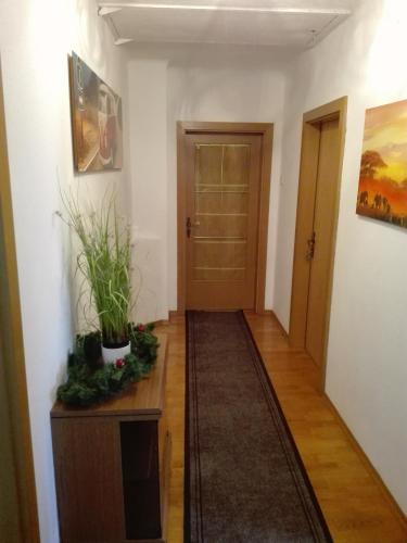 a hallway with a door and a table with plants on it at Pension Prem in Kapfenberg
