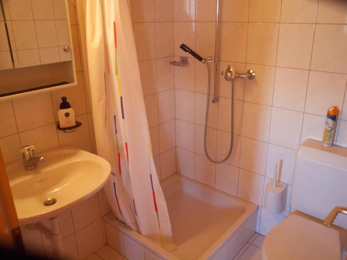 a bathroom with a shower and a sink and a toilet at Chalet Skilift in Rosswald