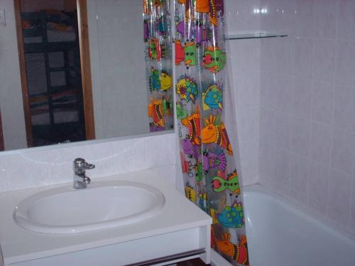 a bathroom with a sink and a shower curtain at Location Montagne in Les Contamines-Montjoie