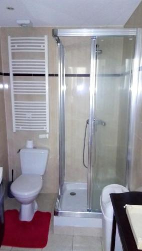 une salle de bain avec toilettes et douche en verre dans l'établissement Appartement La Cerisaie - Rue Massena, à Nice